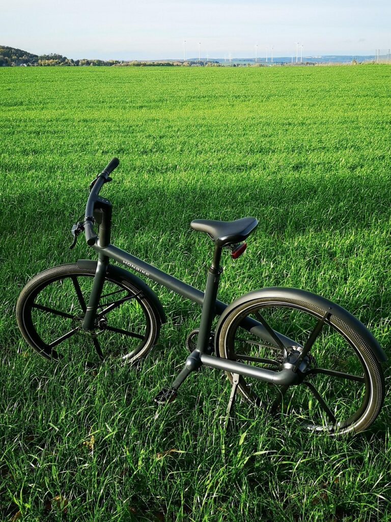 Schwarzes Fahrrad steht auf einer grünen Wiese unter klarem Himmel.