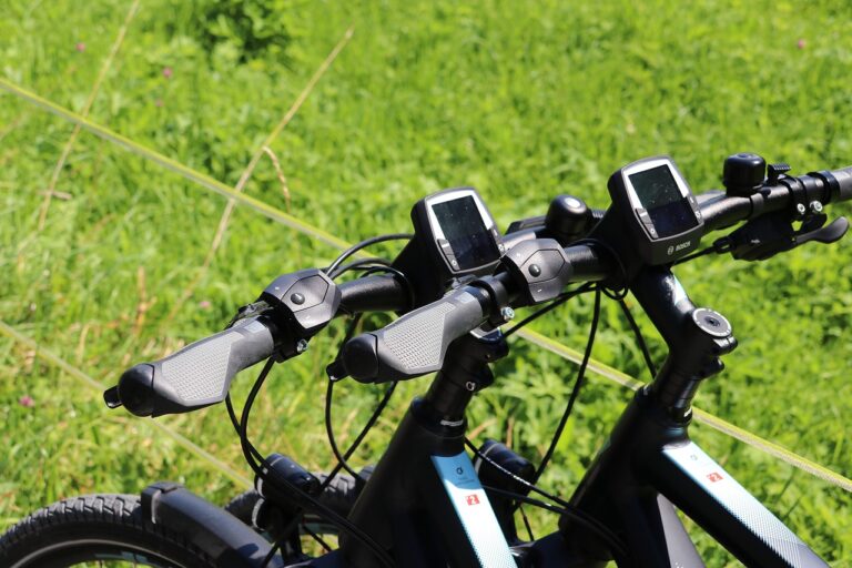 Zwei E-Bike-Lenker mit Displays und Steuerungen im Freien vor grünem Gras.