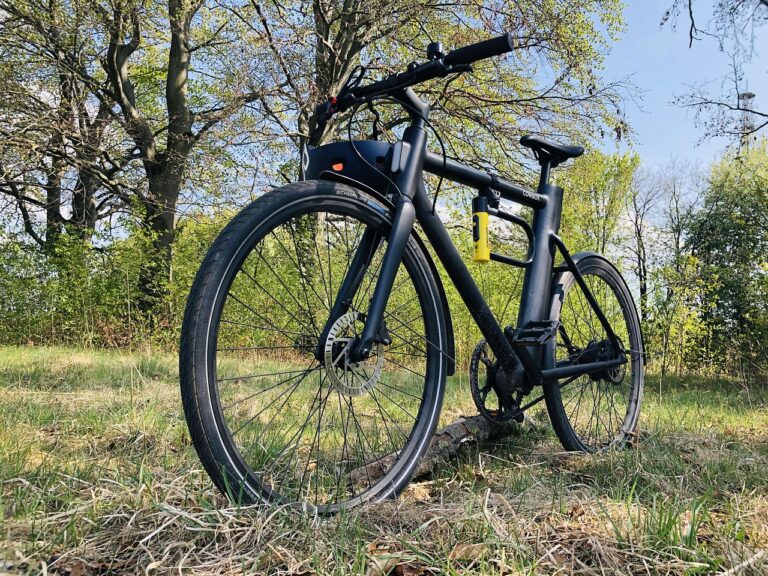Fahrrad auf einer Wiese im Wald bei sonnigem Wetter.