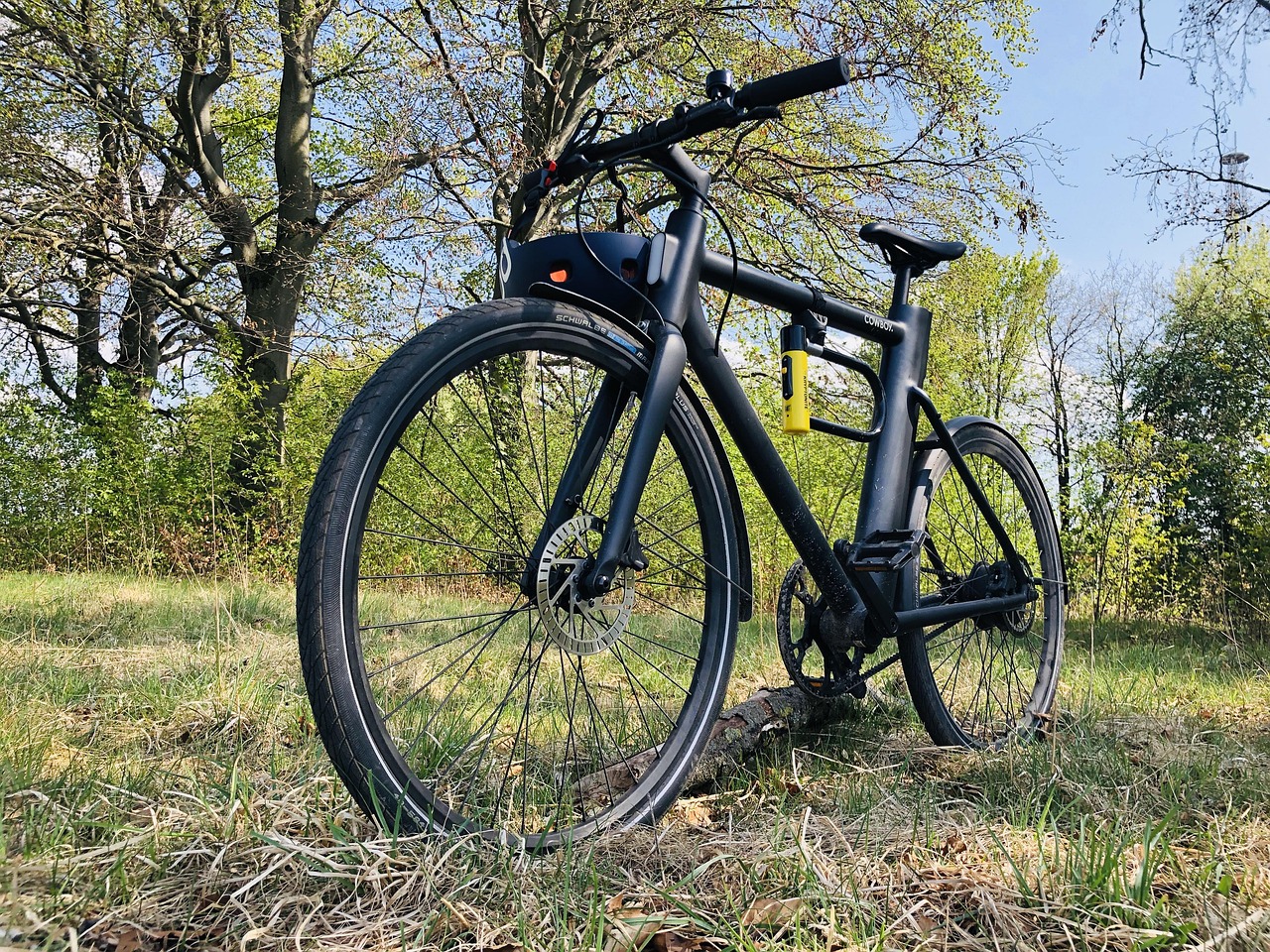 Fahrrad auf einer Wiese im Wald bei sonnigem Wetter.
