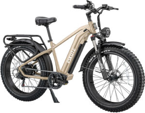 Elektrisches Fatbike mit breiten Reifen, robustem Rahmen und Gepäckträger, seitlich abgebildet.