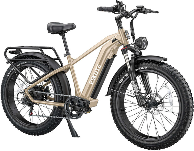 Elektrisches Fatbike mit breiten Reifen, robustem Rahmen und Gepäckträger, seitlich abgebildet.