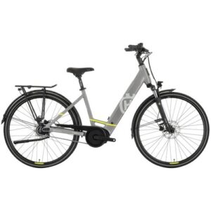 Graues E-Bike mit tiefem Einstieg und robustem Gepäckträger