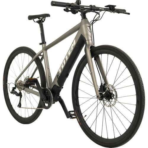 Graues E-Bike mit schwarzem Rahmen und Scheibenbremsen, seitliche Ansicht.