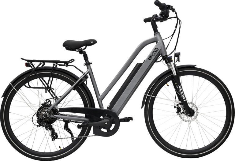 Graues E-Bike mit tiefem Einstieg und Gepäckträger, seitliche Ansicht.