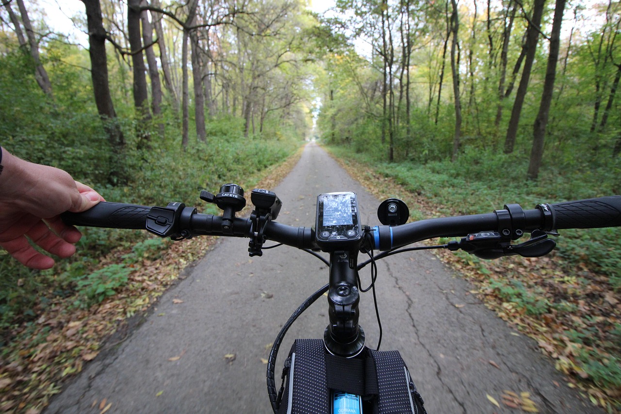 Blick vom Fahrradlenker auf einen Waldweg.
