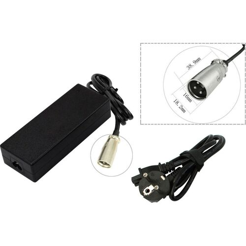 Schwarzes Netzteil mit XLR-Stecker und Netzkabel.