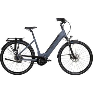Graues Elektrofahrrad mit tiefem Einstieg und Gepäckträger