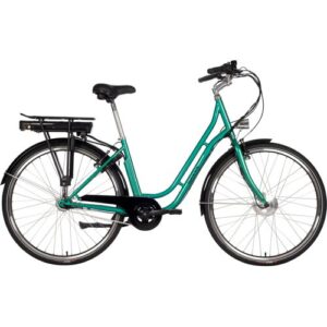 Grünes E-Bike mit tiefem Einstieg und Gepäckträger seitlich.