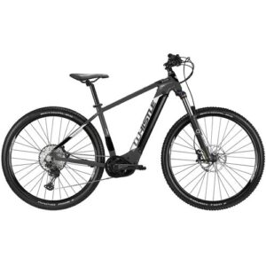 Schwarzes E-Mountainbike mit dickeren Reifen und robustem Rahmen seitlich betrachtet.