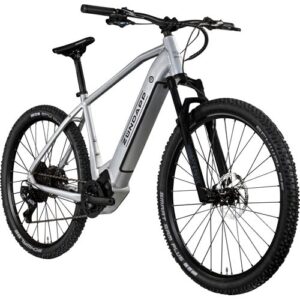 Silbernes Elektro-Mountainbike mit robustem Rahmen und breiten Reifen.