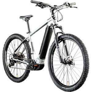 Schwarzes und silbernes E-Bike mit robustem Rahmen und grobstolligen Reifen.