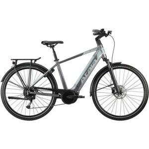 Graues Elektrofahrrad mit Gepäckträger, Scheibenbremsen und breiten Reifen auf weißem Hintergrund.