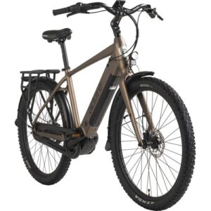 Braunes E-Bike mit dickeren Reifen und Gepäckträger.