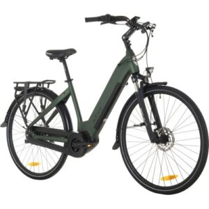 Grünes E-Bike mit Rahmen, Reifen und Gepäckträger vor weißem Hintergrund.